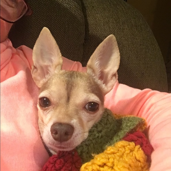 Meet your Posher, Chris - Picture 1 of 1